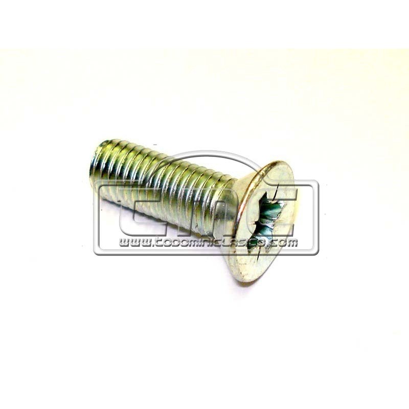 Tornillo bisagra puerta