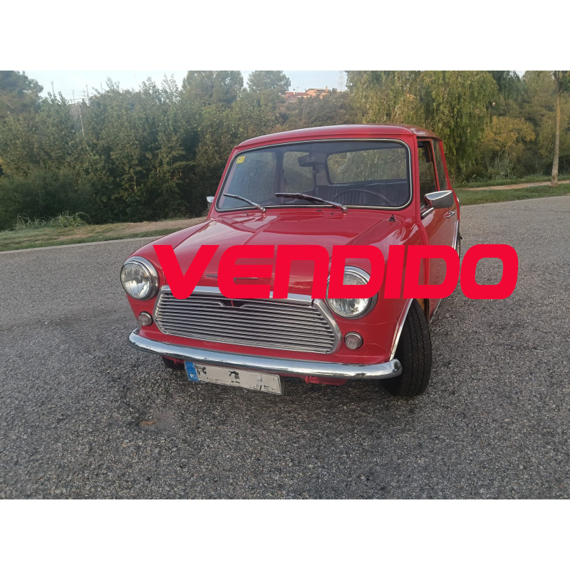 Mini 1000L del 73
